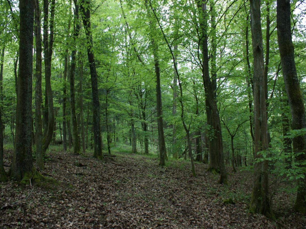 L'Ermitage Du Rebberg Βίλα Urmatt Εξωτερικό φωτογραφία